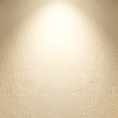 LED Light Bulbs 100 watt