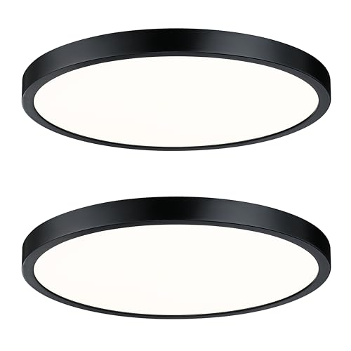 Flush Mount Ceiling Light Fixture (2 Count)