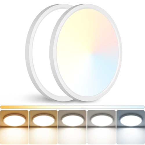 12 inch LED Ceiling Light