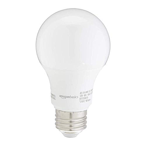 A19 LED Light Bulbs (24 Count)