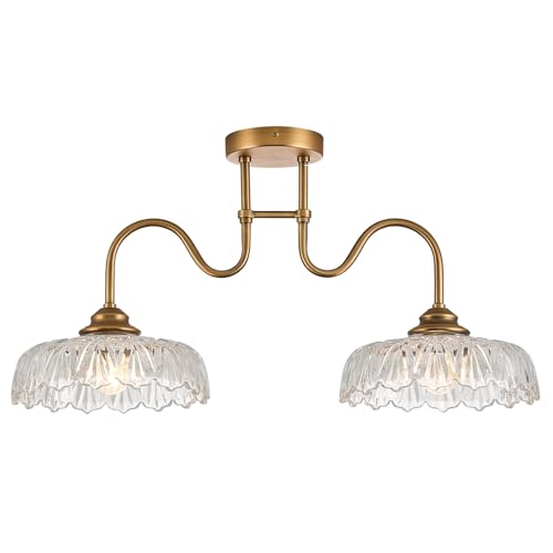 Glass Chandelier Ceiling Pendant Lighting Fixture 2 Lights Hanging Lamp for Bedroom Living Room Mater Room Hallway