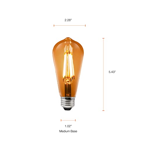 Sylvania WiFi LED Smart ST19 Amber Finish Light Bulb