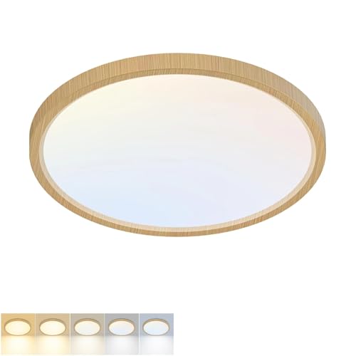 LED Flush Mount Ceiling Light