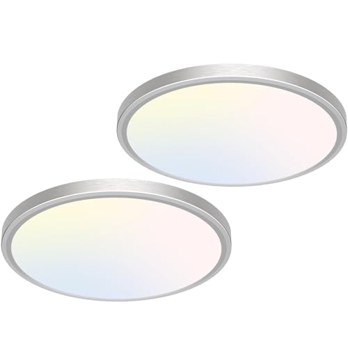 12 inch Flush Mount LED Ceiling Light Fixture (2 Count)