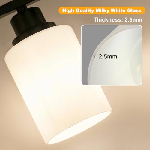 4 Light Bathroom Light Fixtures