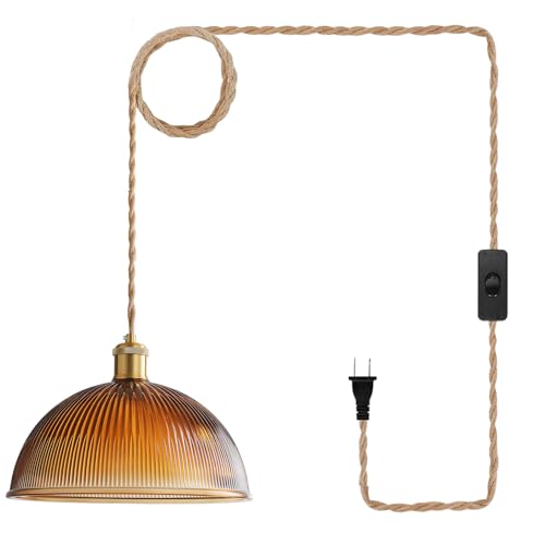 Plug in Pendant Light