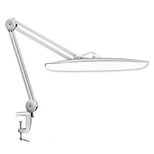 LED Desk Lamp with Clamp