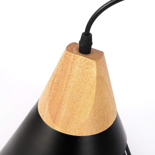 Pendant Light Black