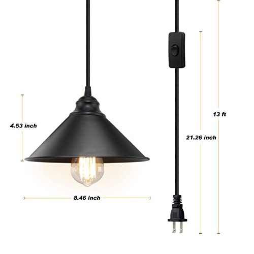 Black Plug in Pendant Light