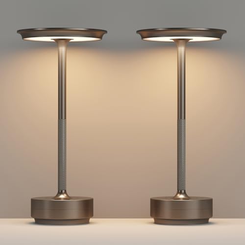 2 Pack Cordless Table Lamps Rechargeable (2 Count)
