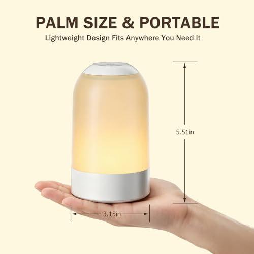 2 Pack Rechargeable Night Lights