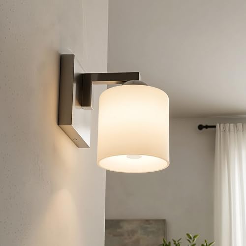 1 Light Brushed Nickel Bathroom Vanity Light with White Glass Shade
