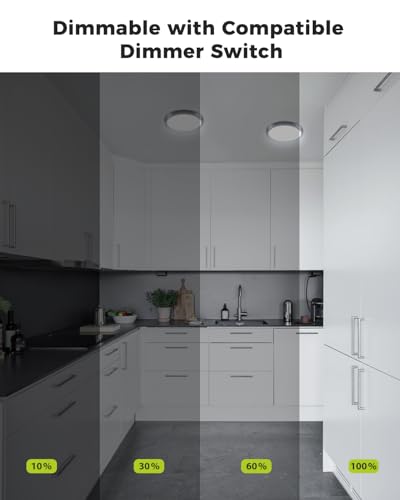 1Pack Dimmable Flush Mount Ceiling Light Fixture Black