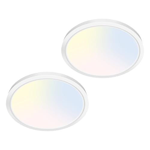7 inch Flush Mount LED Ceiling Light Fixture (2 Count)