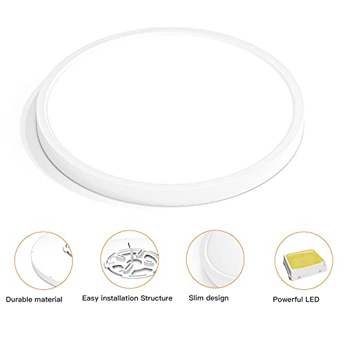 Dimmable Flush Mount Ceiling Light
