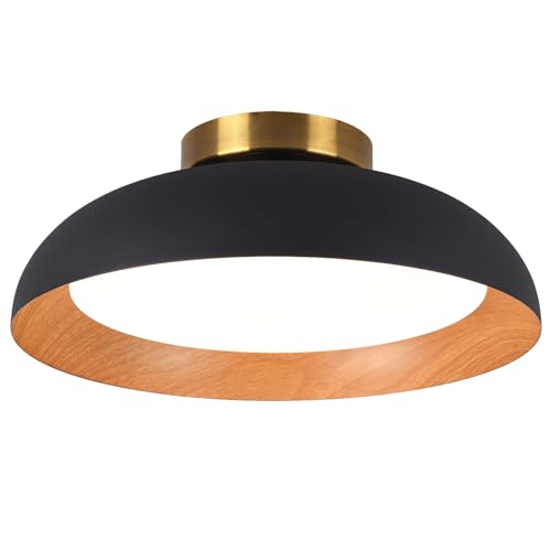 Flush Mount Ceiling Light