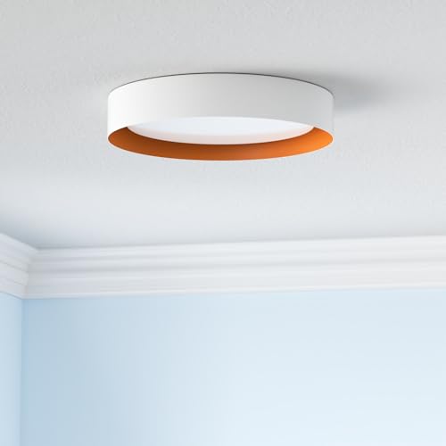 16.5" Flush Mount Ceiling Light