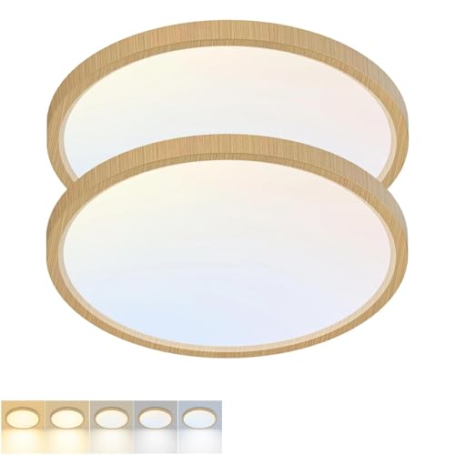 2 Pack LED Flush Mount Ceiling Light (2 Count)