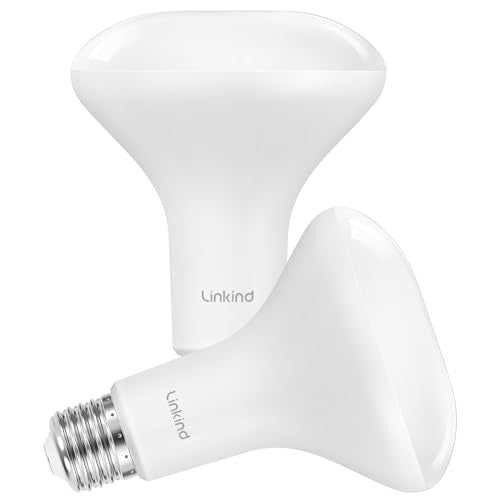 2 Pack BR30 LED Flood Light Bulbs Indoor (2 Count)