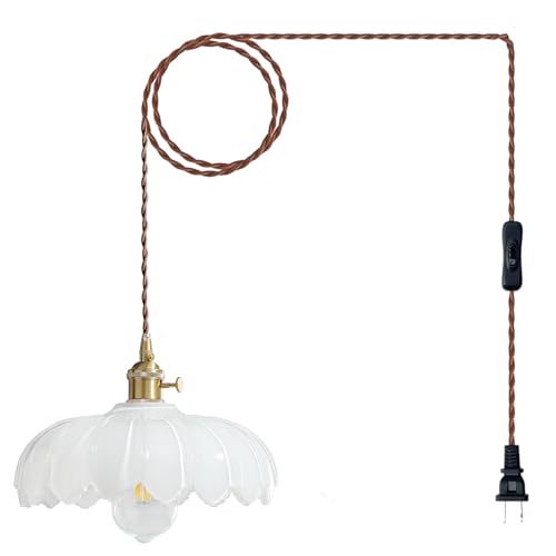 Plug in Pendant Light