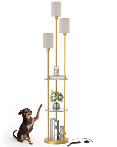 Floor Lamp with Shelves