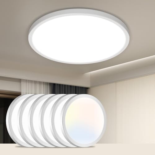 6 Pack LED Flush Mount Ceiling Light Fixture (6 Count)