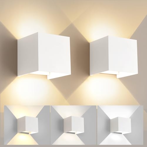 2 Pack LED Outdoor Wall Lights Exterior