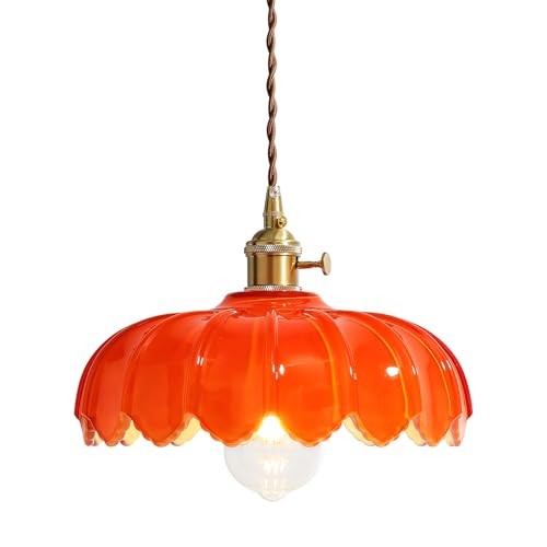 Plug in Pendant Light