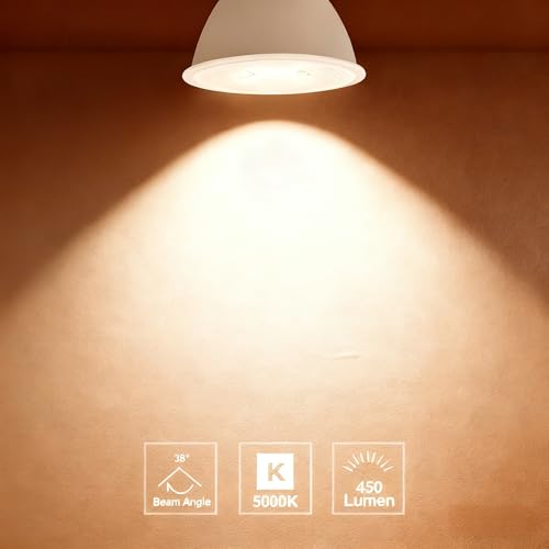 MR16 LED Bulb