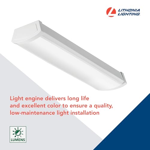 2 Foot LED Light Fixture