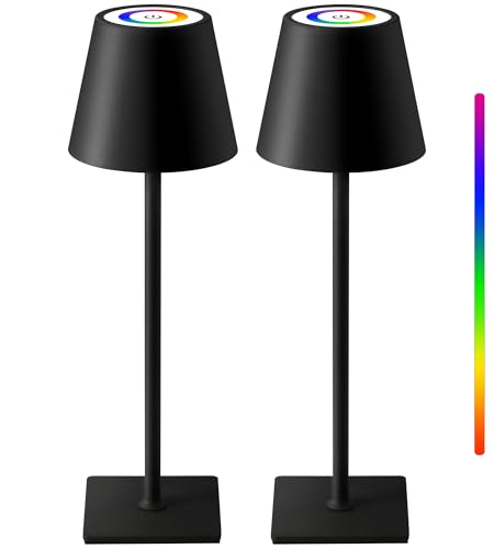 2 Pack Cordless Black Table Lamps (2 Count)