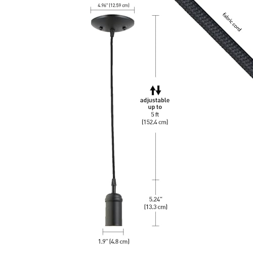 64906 1 Light Pendant