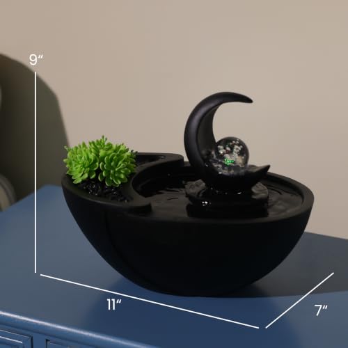 Table Fountain Indoor Water Zen Garden Decor with Succulent Plant