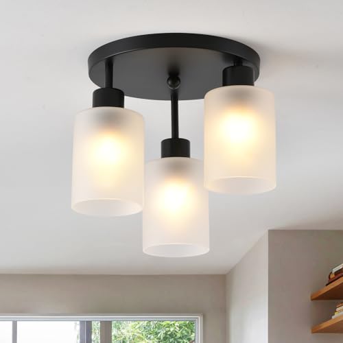 3 Light Industrial Farmhouse Black Matte Light Fixtures Ceiling Mount (3 Count)