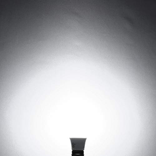 A19 LED Bulb 60W Equivalent