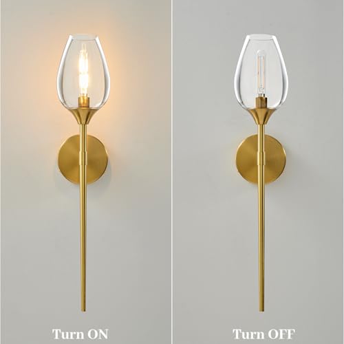 Set of 2 Gold Glass Wall Sconce Light