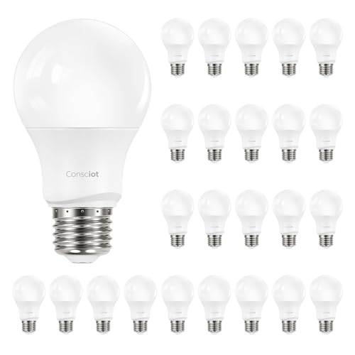 A19 LED Light Bulb (24 Count)