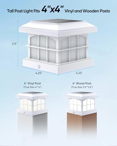 RGBCW Solar Post Cap Lights 12 (12 Count)