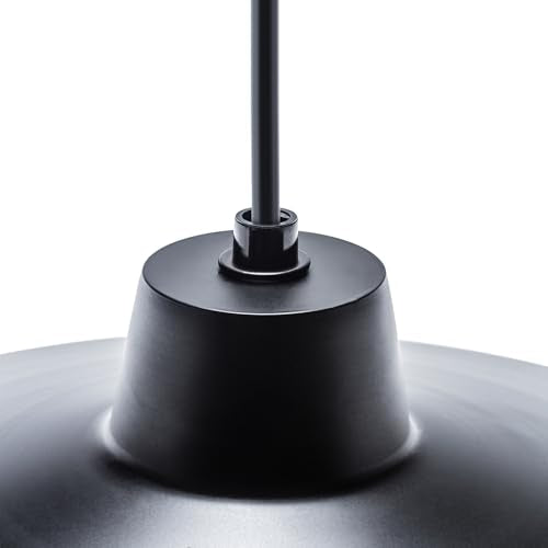 65155 1 Light Industrial Warehouse Pendant Lighting