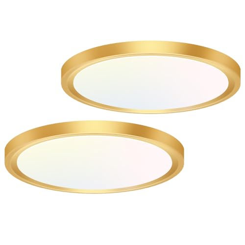 2PACK Flush Mount LED Ceiling Light Fixture Golden (2 Count)
