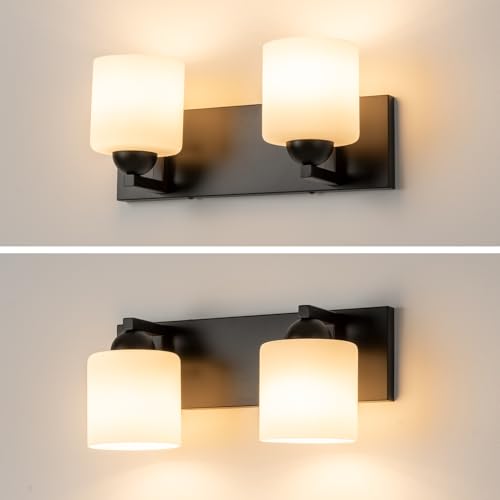 2 Light Black Bathroom Vanity Light with White Glass Shades