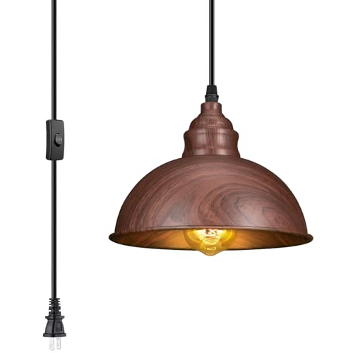 Plug in Pendant Light