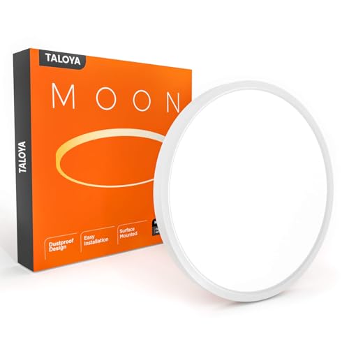Flush Mount Ceiling Light