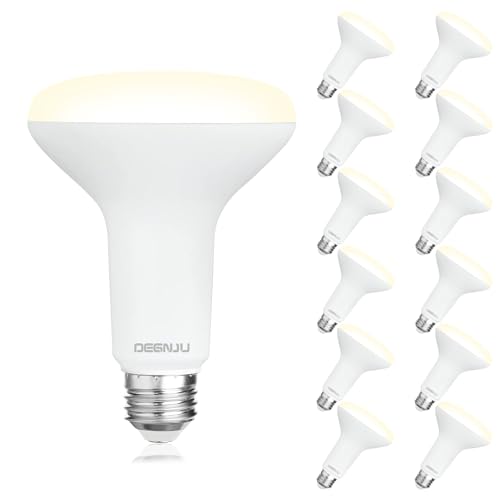 12 Pack BR30 LED Recessed Light Bulb (12 Count)
