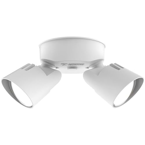 HomeGuard 2 Light LED Outdoor Flood Lights