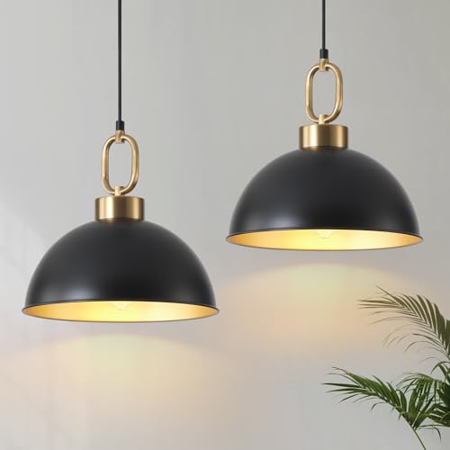 2 Pack Black Hanging Pendant Light Fixture (2 Count)