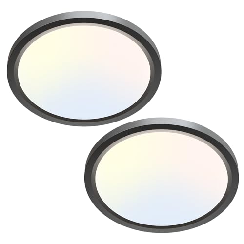 2Pack LED Ceiling Light Fixture 6.5 Inch (2 Count)