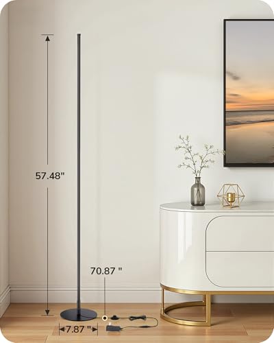 2 Pack 57.5” Floor Lamp with Remote (2 Count)