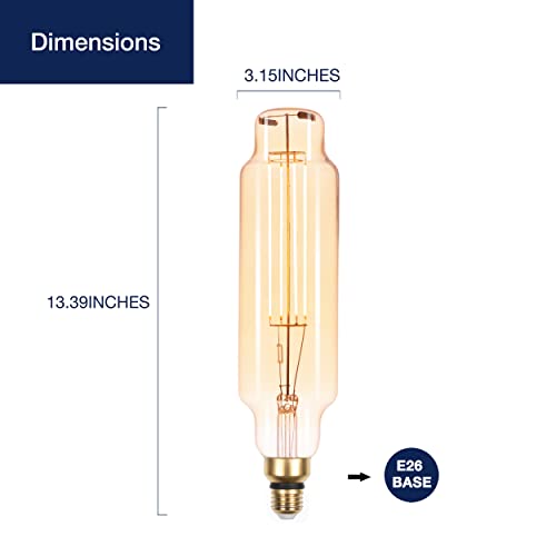 New Large Oversized Vintage LED Bulbs