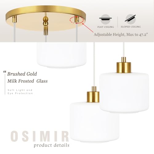 Brushed Gold Dining Room Chandelier Light Fixture